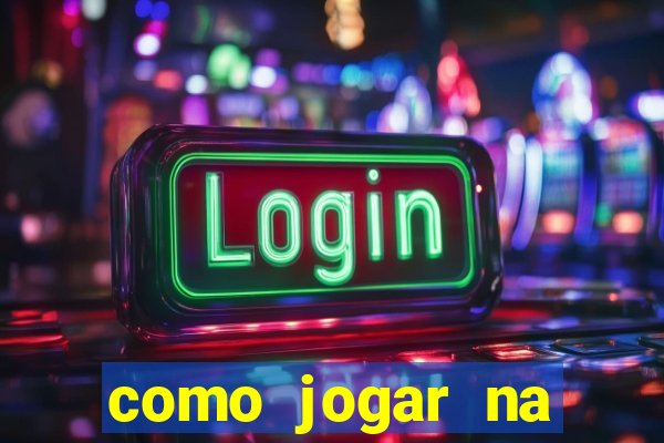 como jogar na lotinha do jogo do bicho